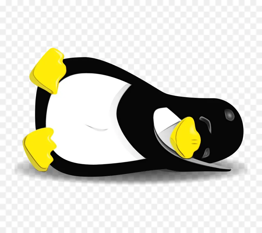 Penguen，Kuş PNG