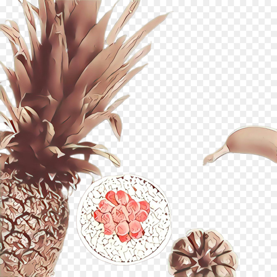 Ananas，Kahverengi PNG