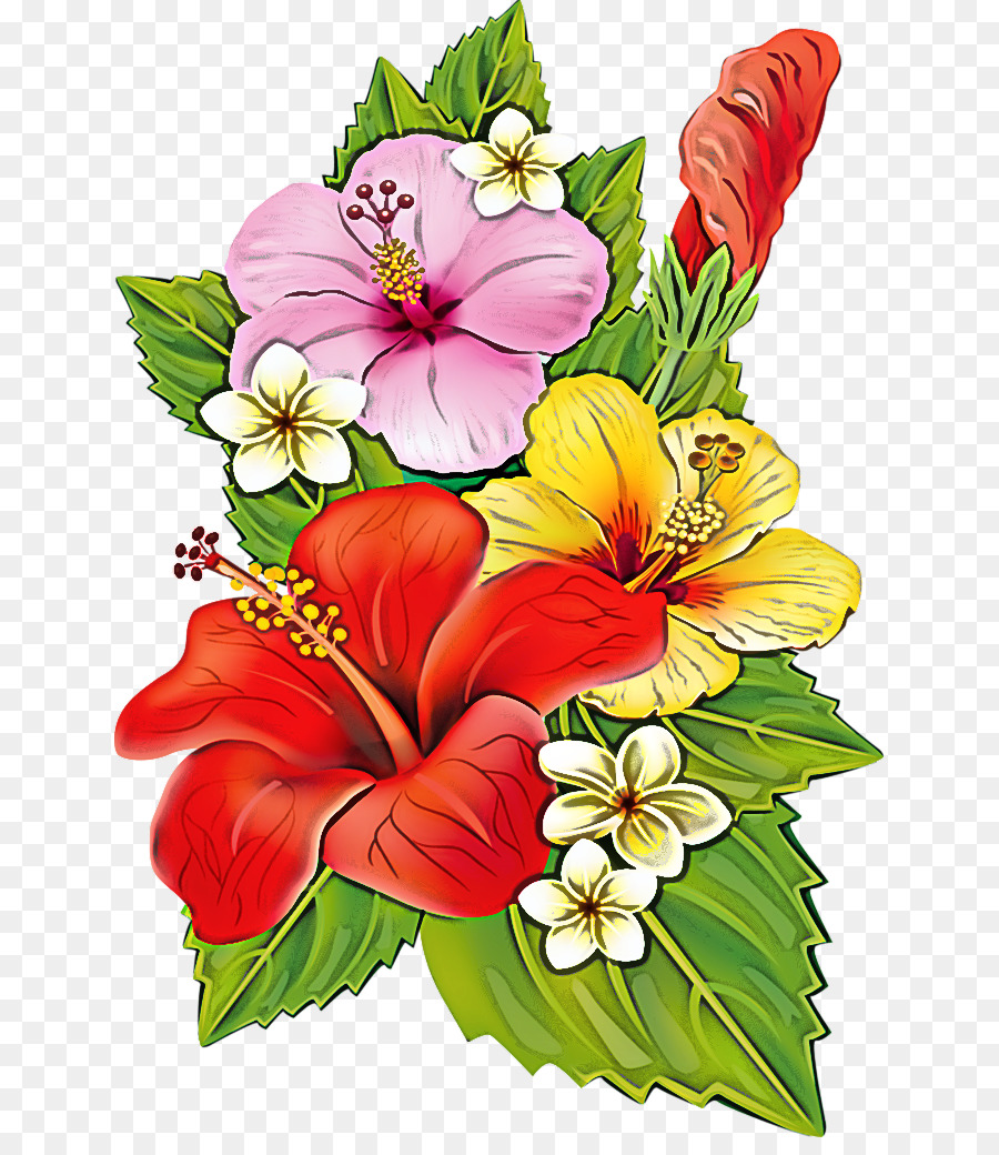 Hibiskus çiçekleri，Tropikal PNG