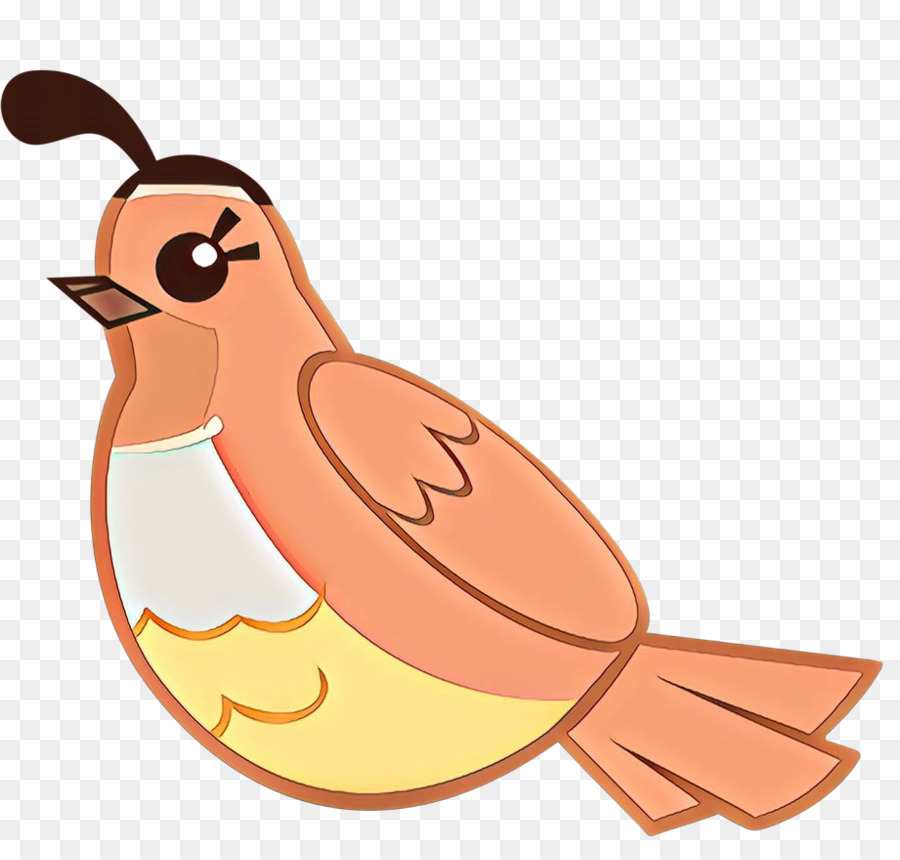 Kuş，Karikatür PNG