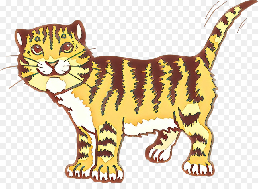 Kedi，Küçük Ve Orta ölçekli Kediler PNG