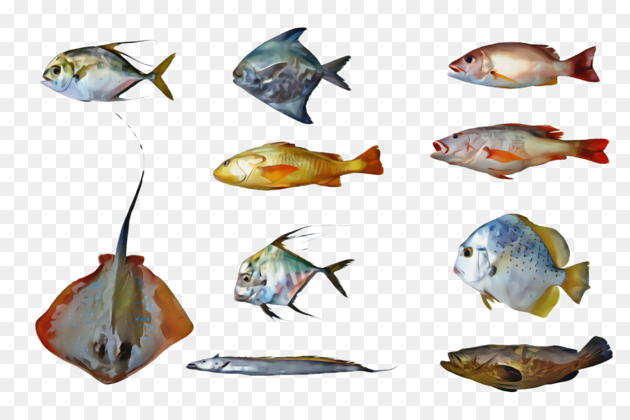 Balık，Bonyfish PNG