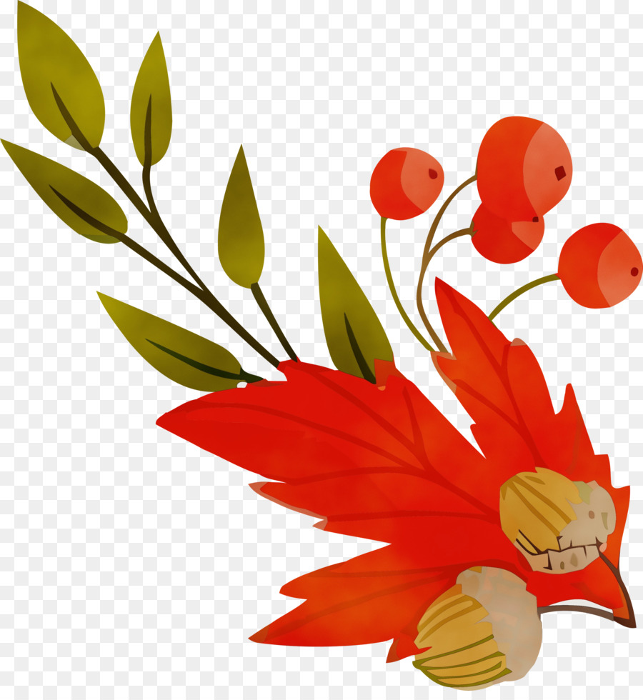 çiçek，Kırmızı PNG