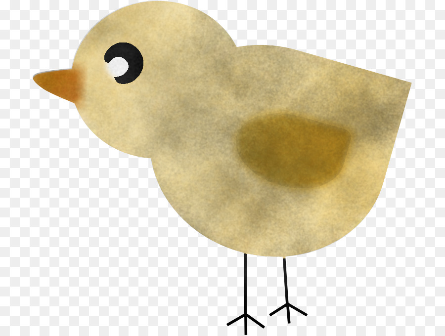 Sarı，Kuş PNG