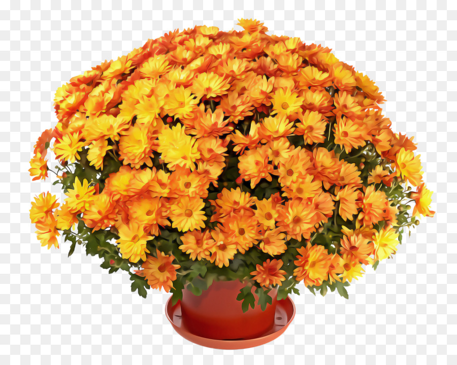 çiçek，Tagetes PNG