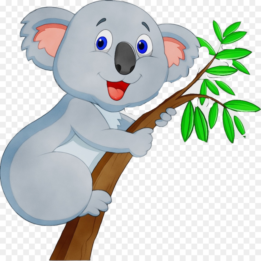 Koala，Karikatür PNG