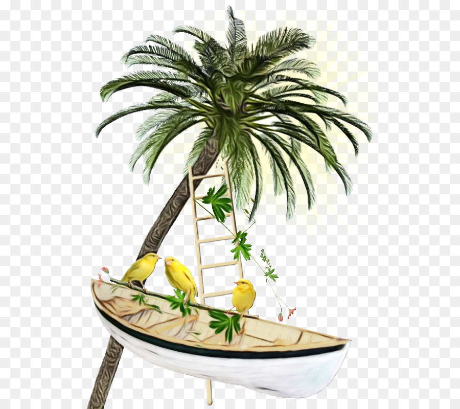 Palmiye Ağacı，Ağaç PNG