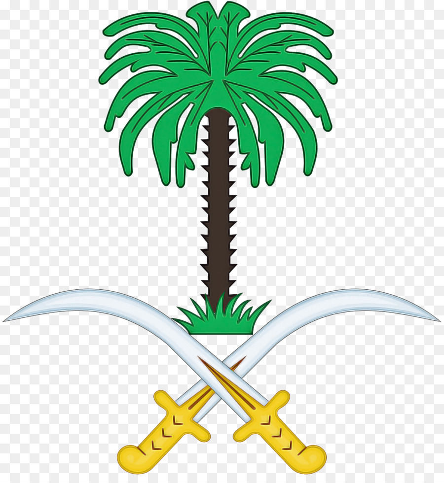 Palmiye Ağacı，Yeşil PNG