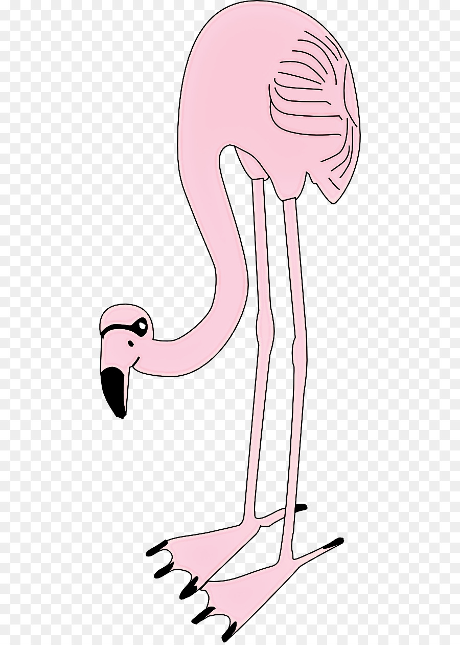 Pembe，Büyük Flamingo PNG