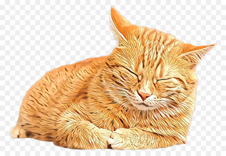 Uyuyan Kedi，Dinlenme PNG