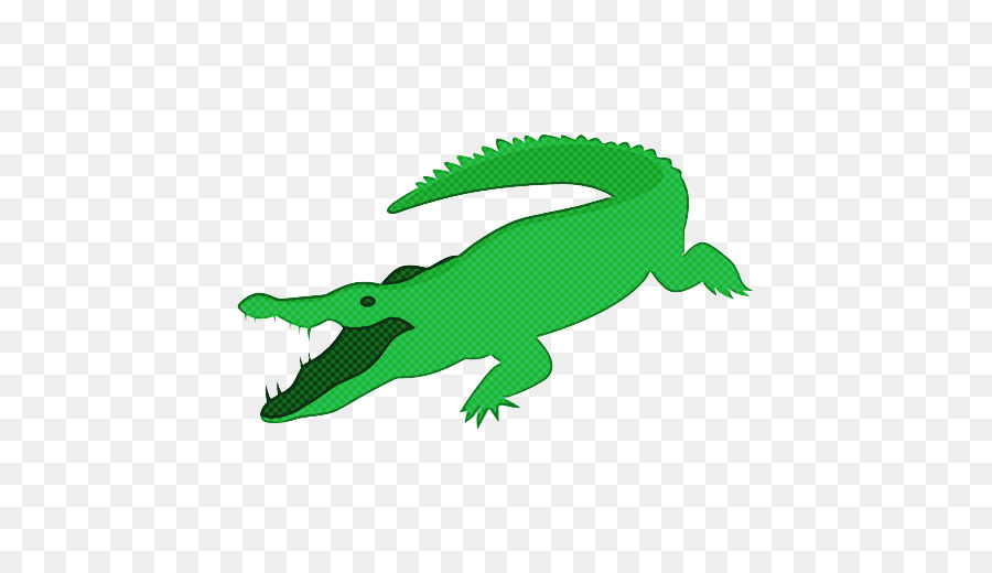 Crocodilia，Timsah PNG