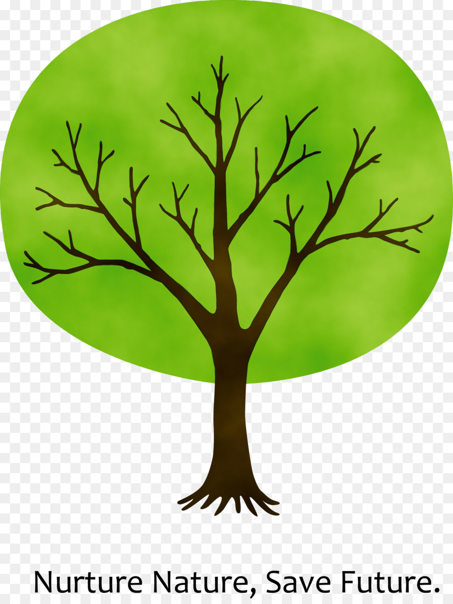 Yeşil，Ağaç PNG