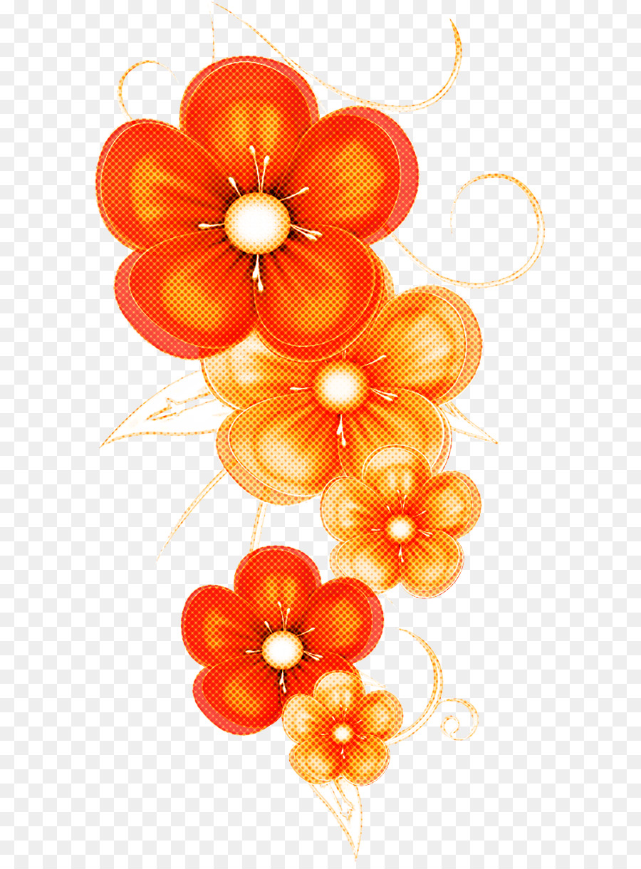 Turuncu，çiçek PNG