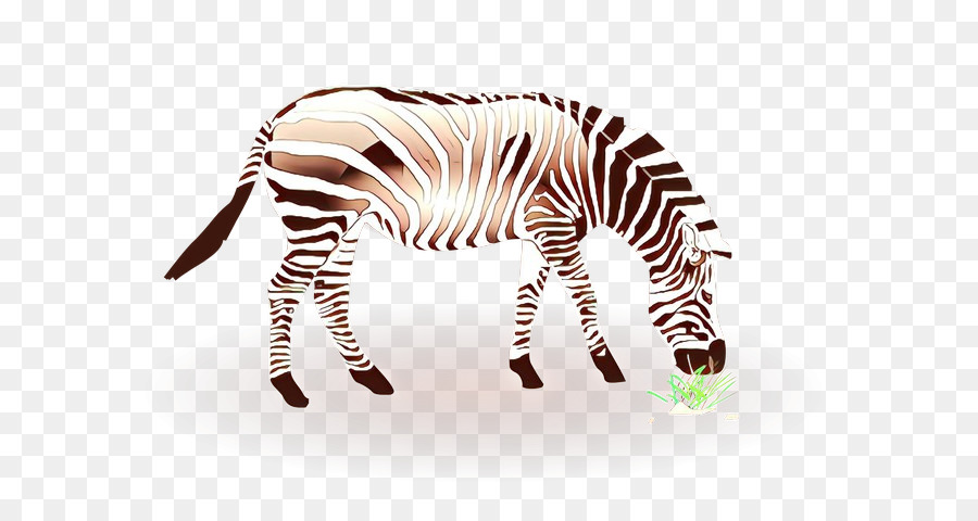 Zebra，Yaban Hayatı PNG