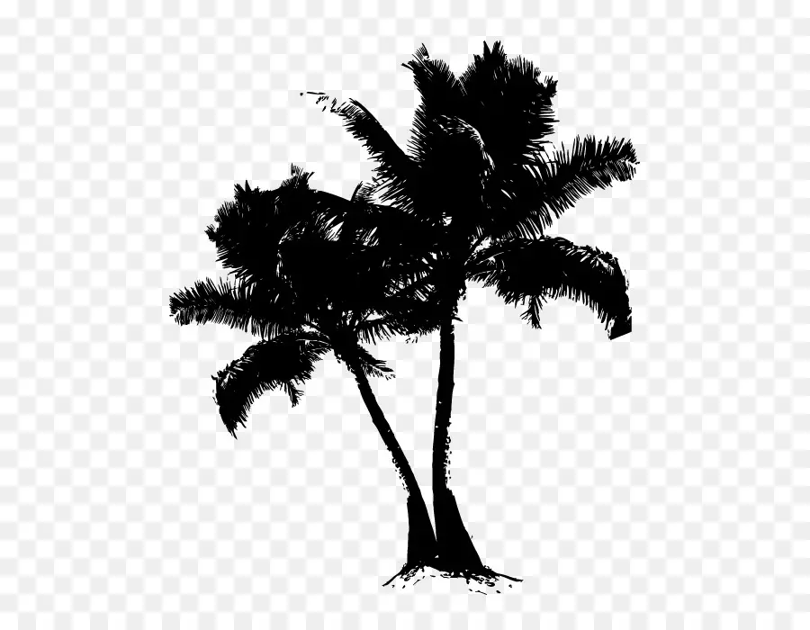 Ağaç，Palmiye Ağacı PNG