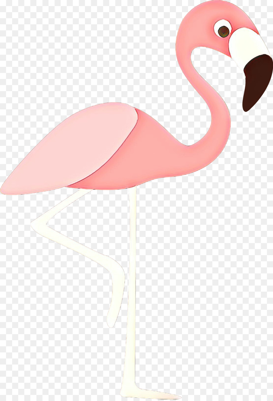 Pembe Flamingo，Kuş PNG