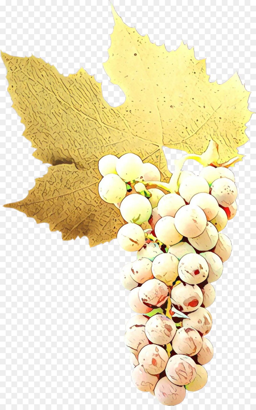 üzüm，Grapevine Aile PNG