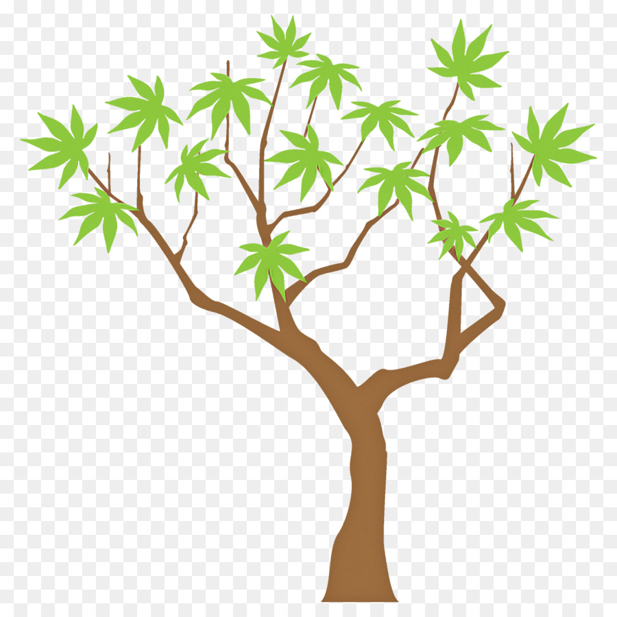 Ağaç，Yaprak PNG