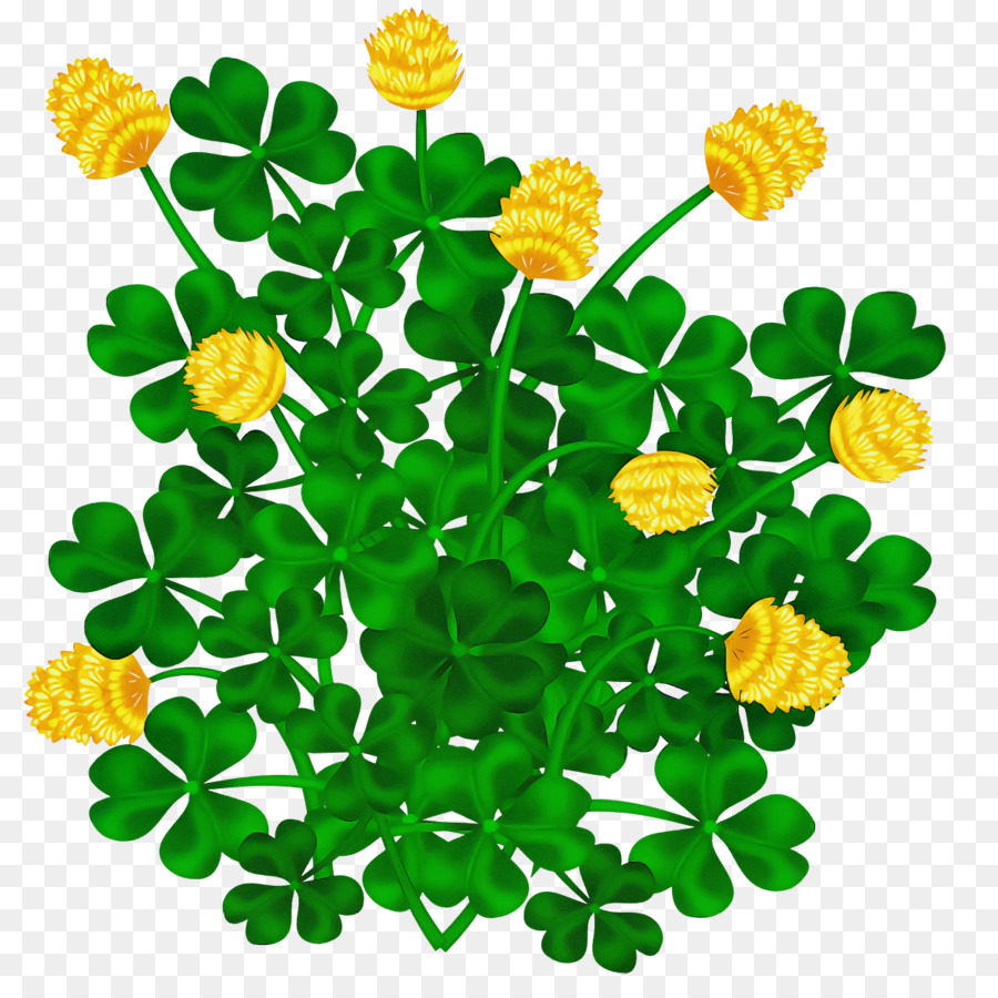 çiçek，Tagetes PNG