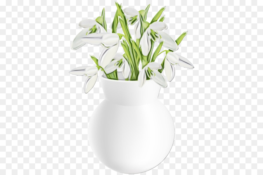 çiçek，Beyaz PNG