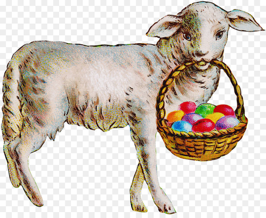 Keçi，Cowgoat Aile PNG