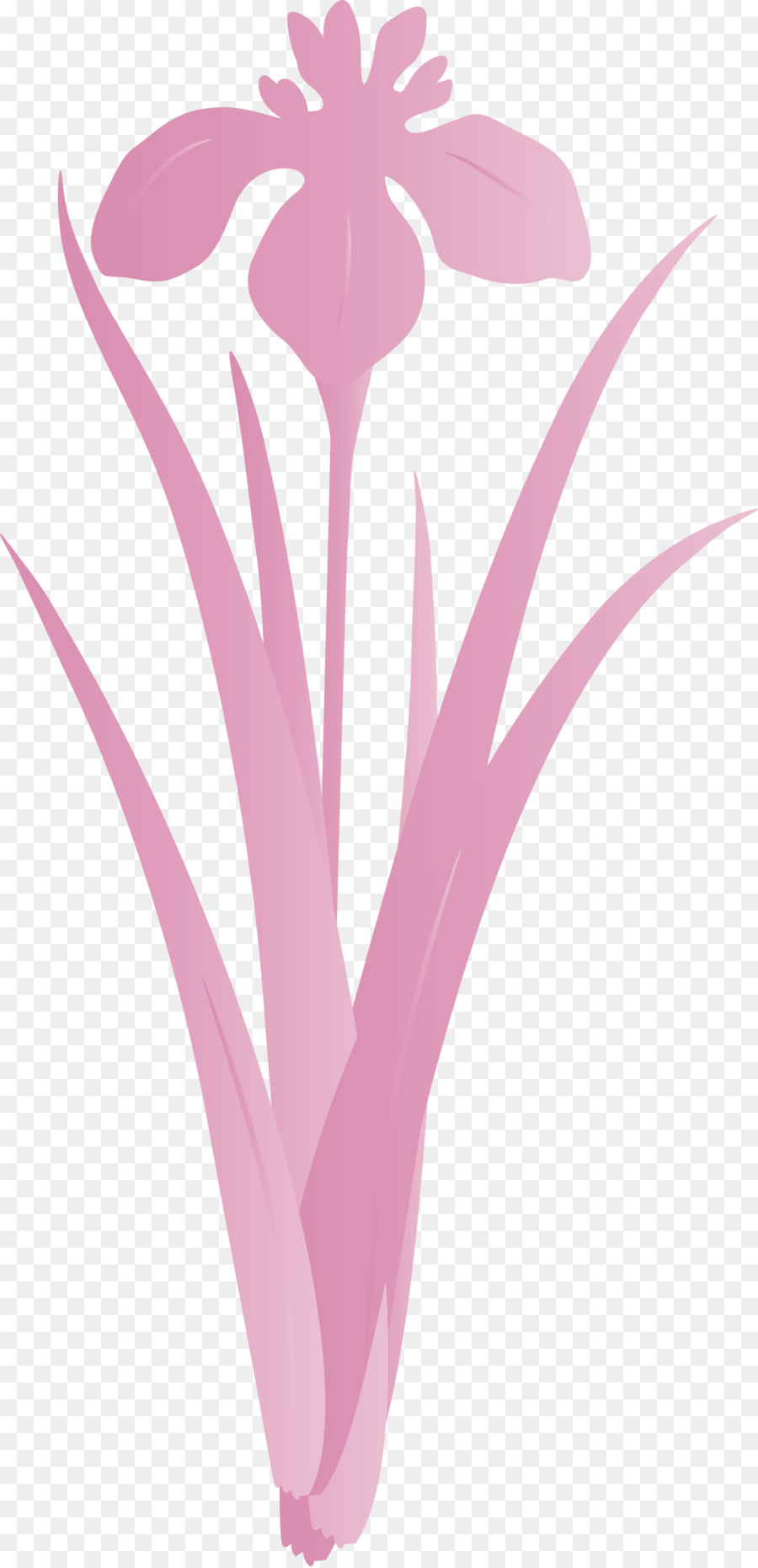 Pembe，Bitki PNG