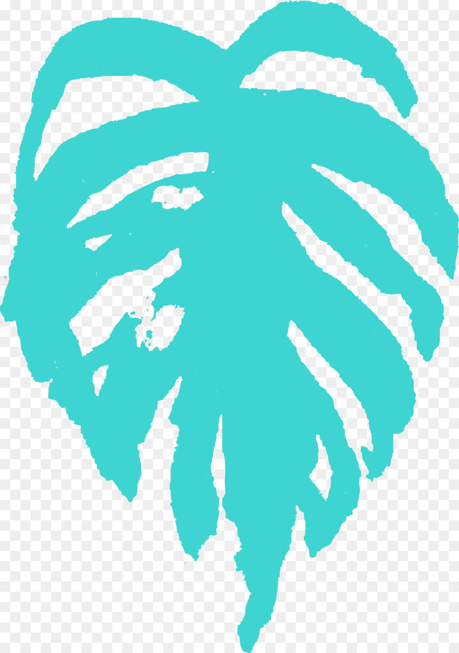 Turkuaz，Aqua PNG