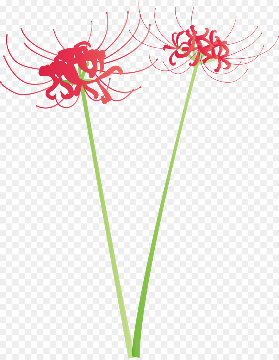 çiçek，Bitki PNG