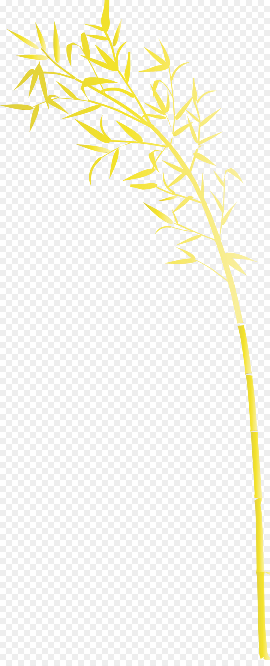 Sarı，çizgi PNG