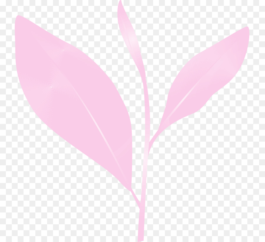 Tüy，Pembe PNG