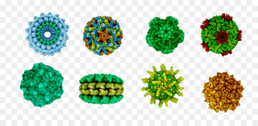 Renkli Virüs Modelleri，Patojen PNG