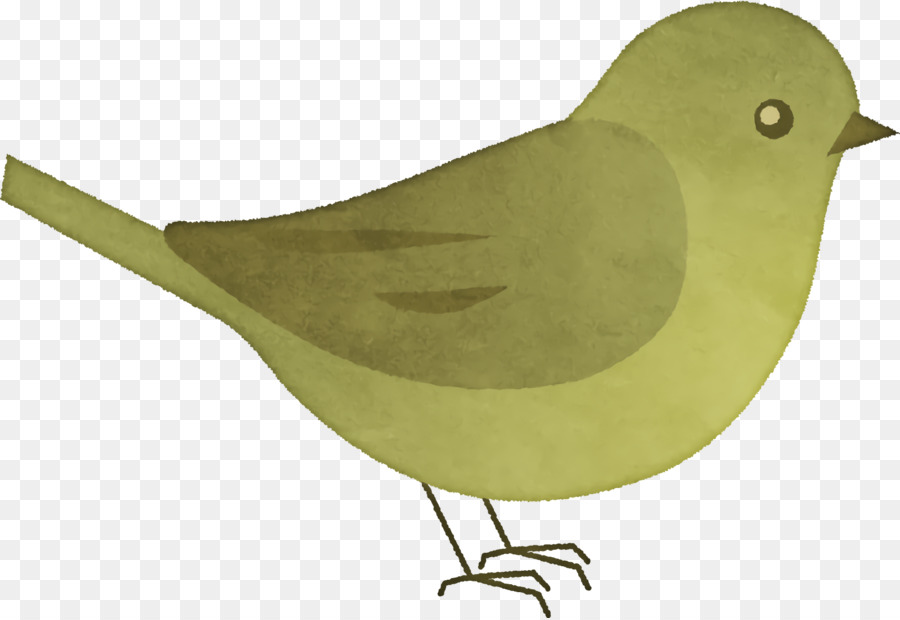 Kuş，Robin PNG