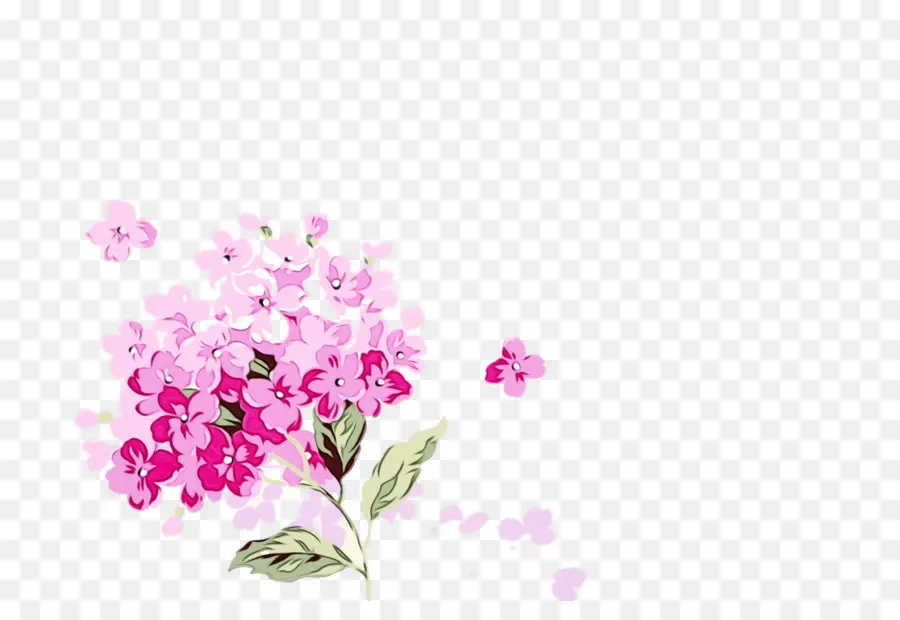 çiçek Tasarımı，çiçek Açma PNG