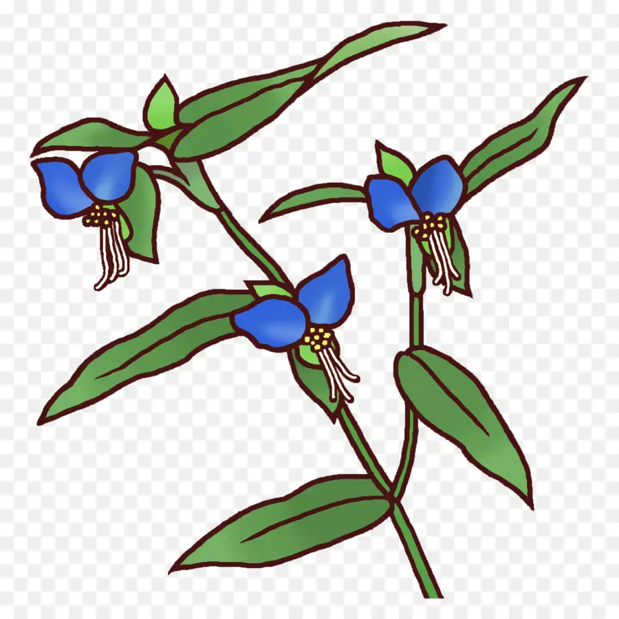 Bitki Sapı，Karakter PNG