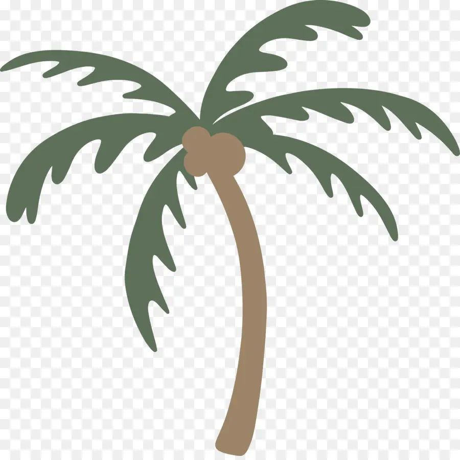 Palmiye Ağaçları，Bitki Sapı PNG