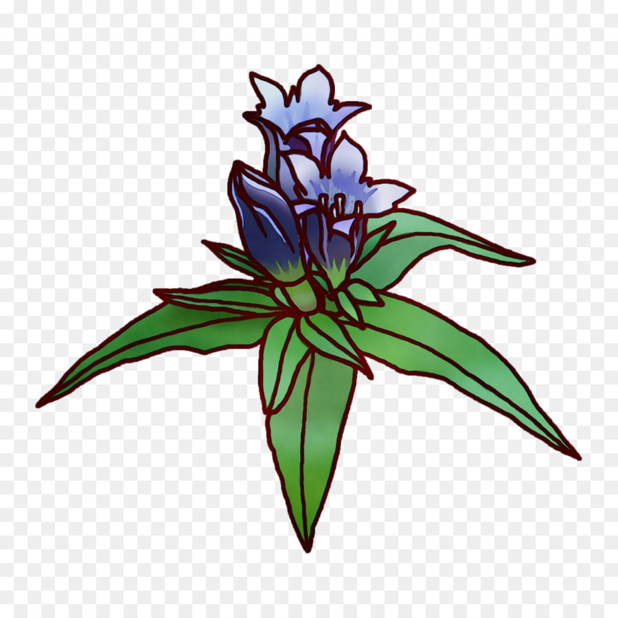 Bitki Sapı，çiçek PNG