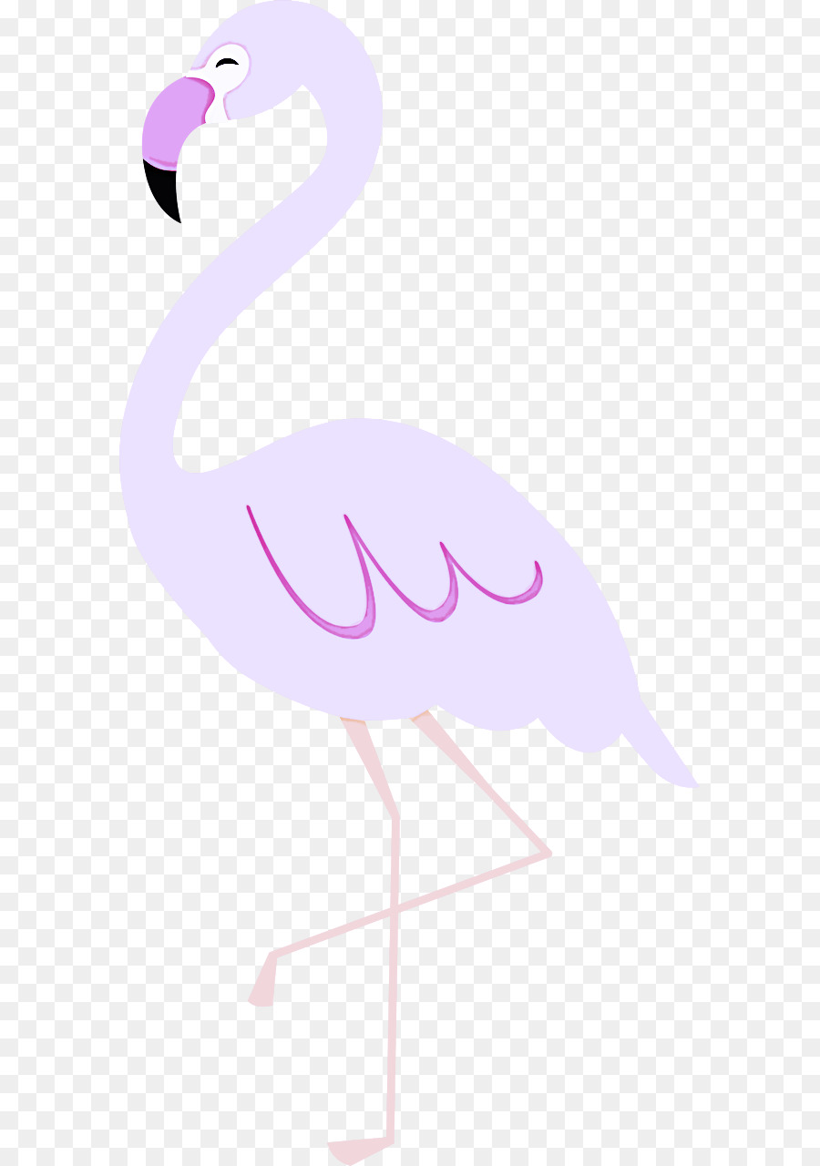 Pembe Flamingo，Kuş PNG