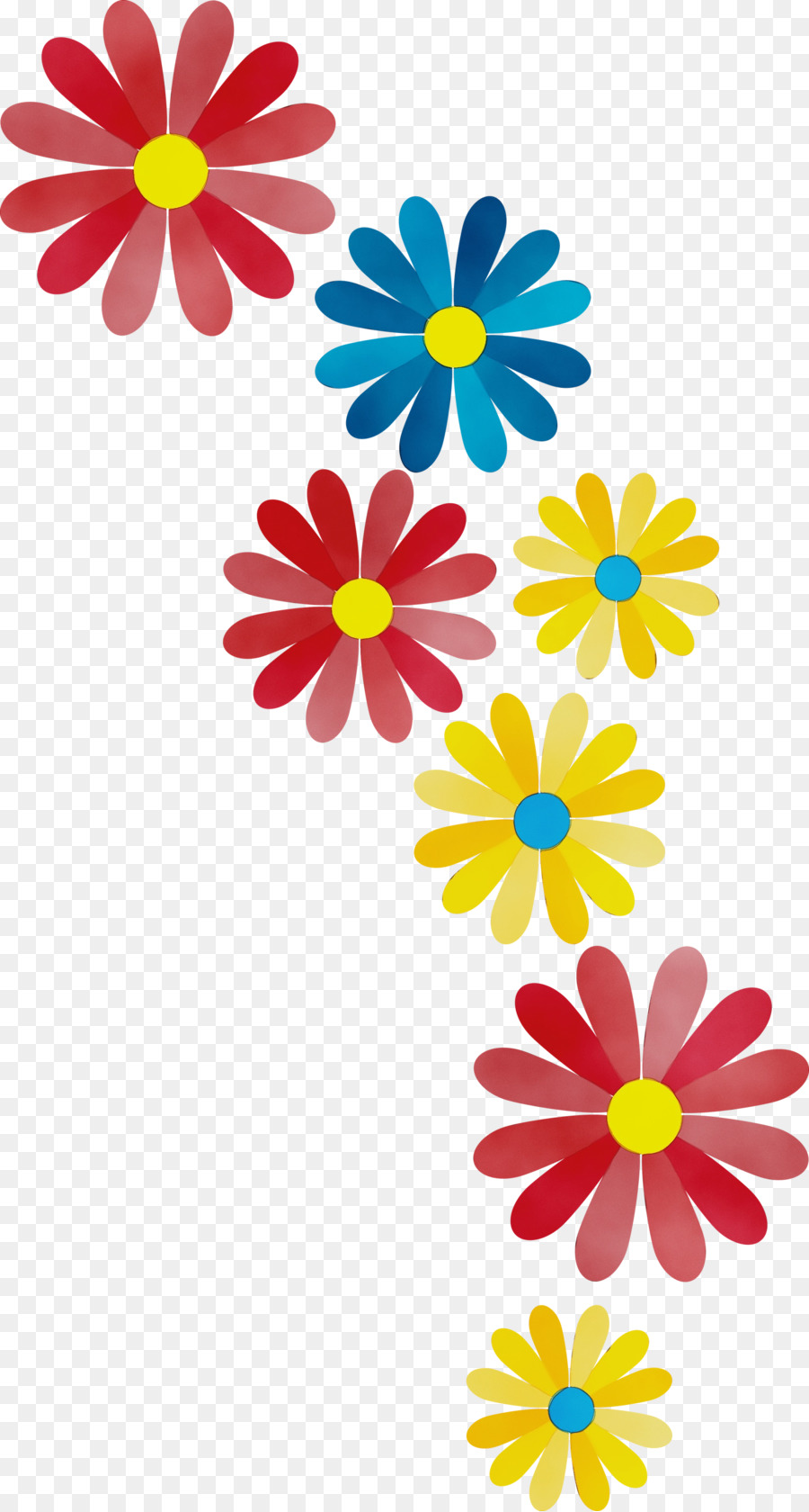 Transvaal Daisy，çiçek Tasarımı PNG
