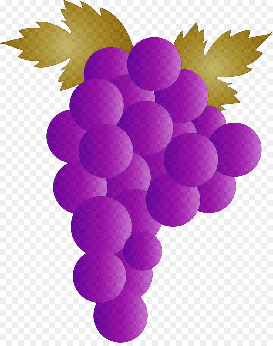 üzüm，şarap PNG