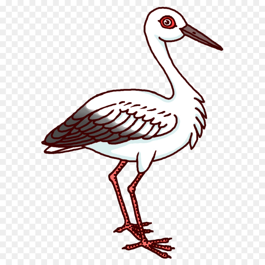 Kuşlar，Beyaz Leylek PNG