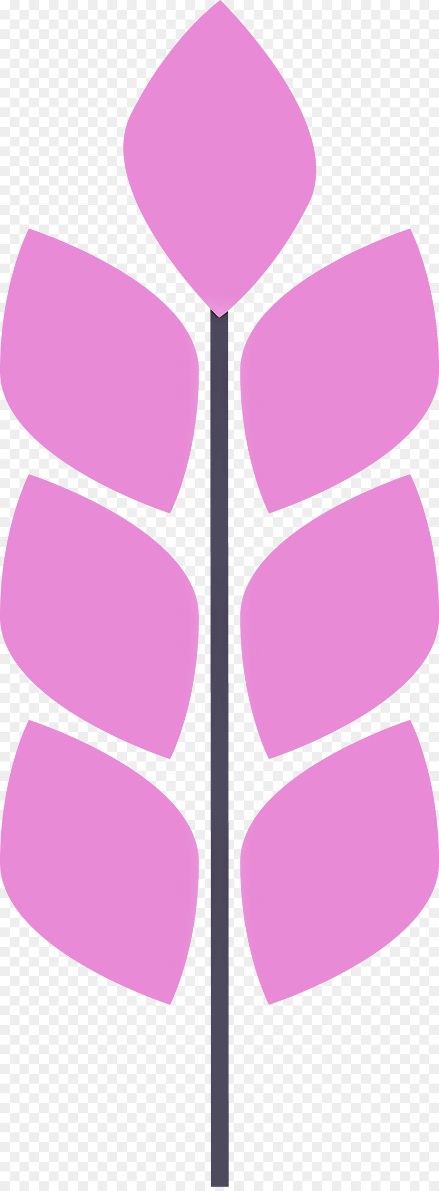 çiçek Tasarımı，Logo PNG