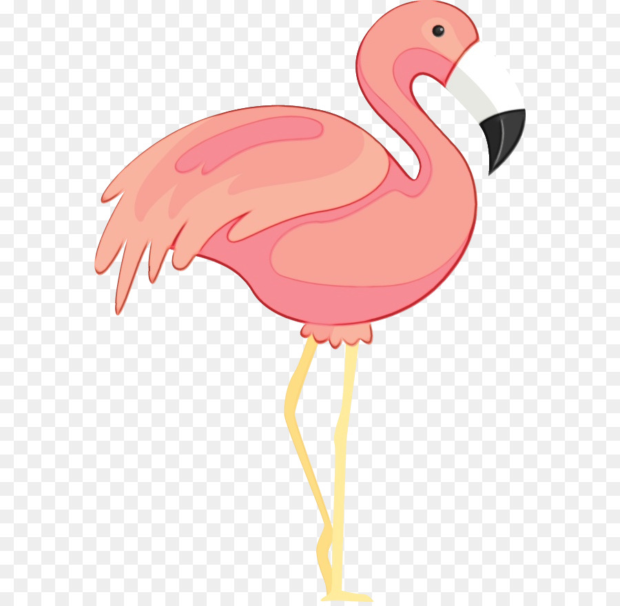 Tavuk，Flamingo M PNG