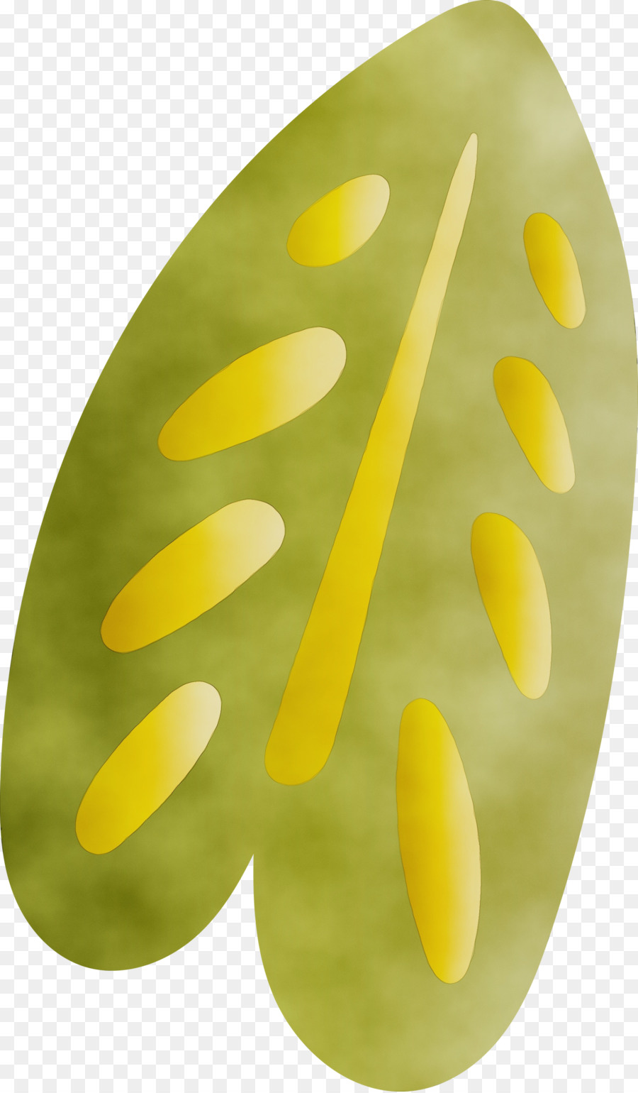 Sarı，Oval PNG