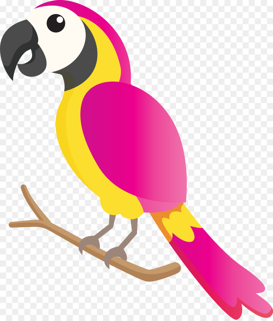 Papağan，Kuşlar PNG