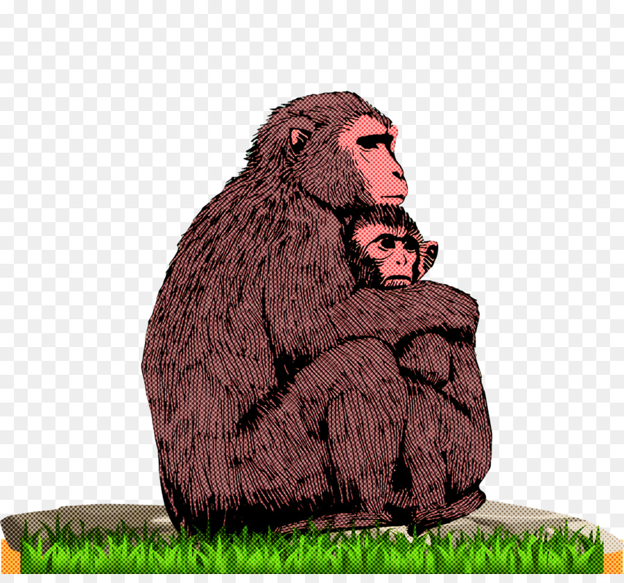 Eski Dünya Maymunları，Makaklar PNG