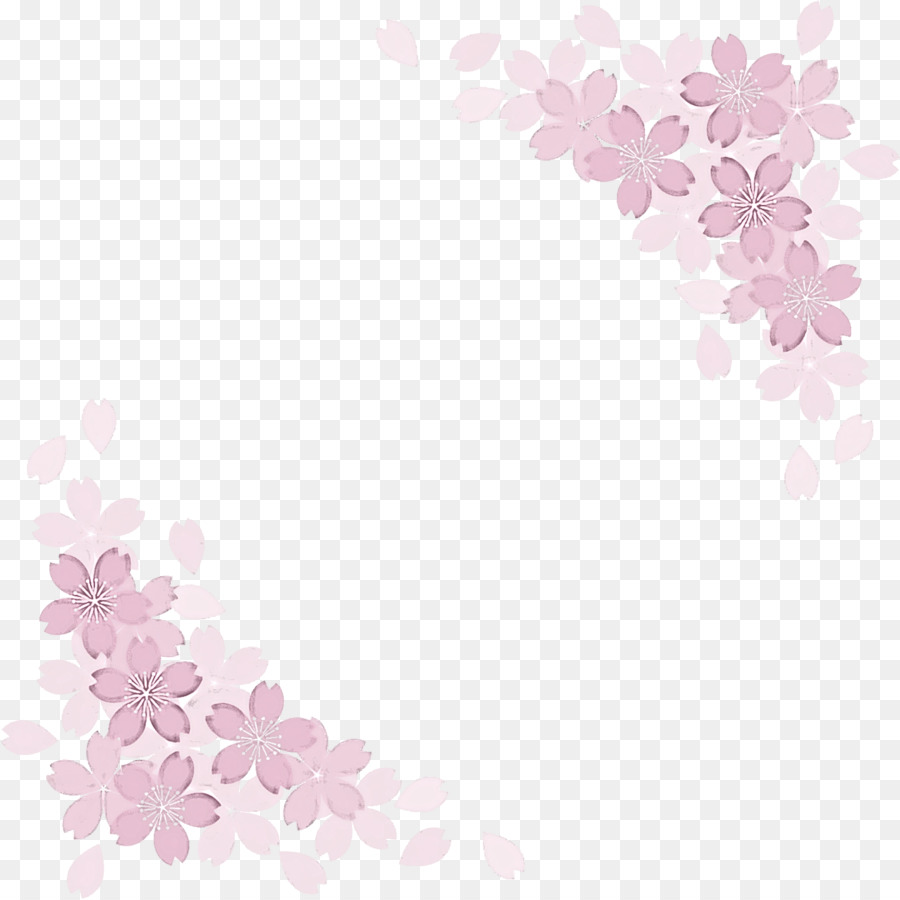 Sakura，Kiraz çiçeği PNG