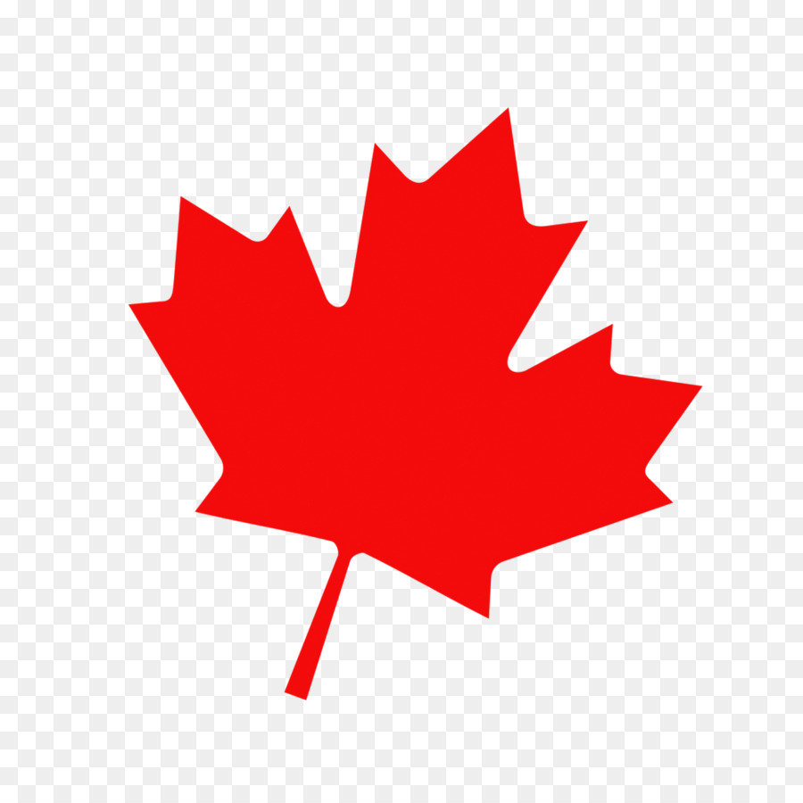 Akçaağaç Yaprağı，Kanada Bayrağı PNG
