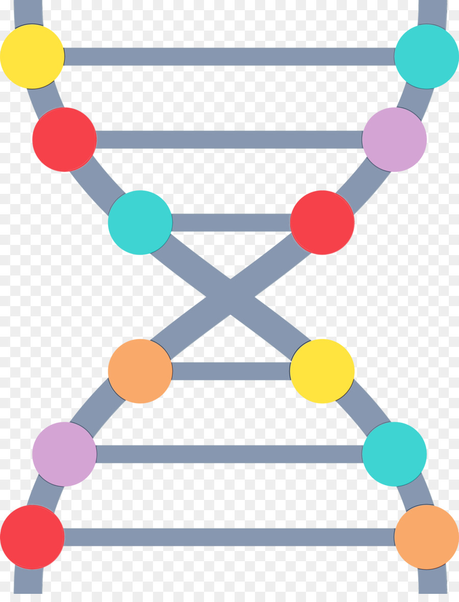 Dna，Nükleik Asit çift Sarmal PNG