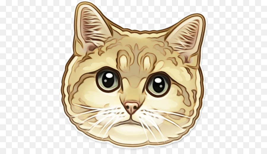 Bıyıkları，Kedi PNG