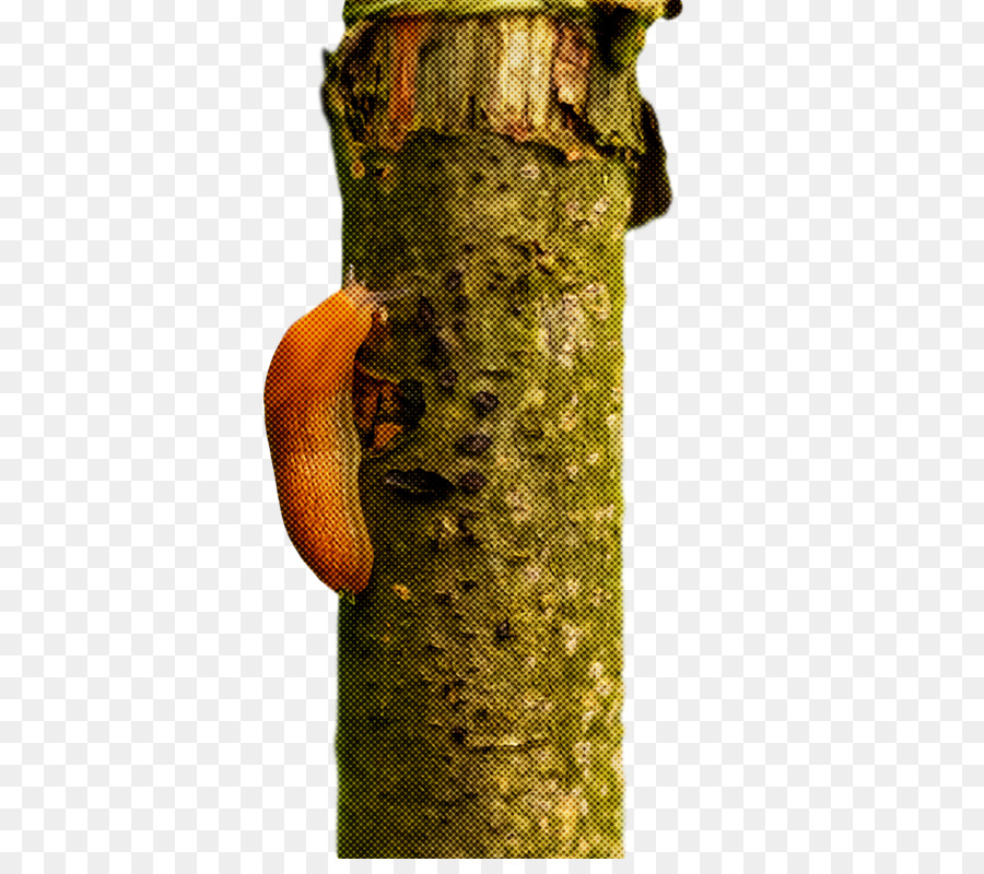 Ağaç， PNG